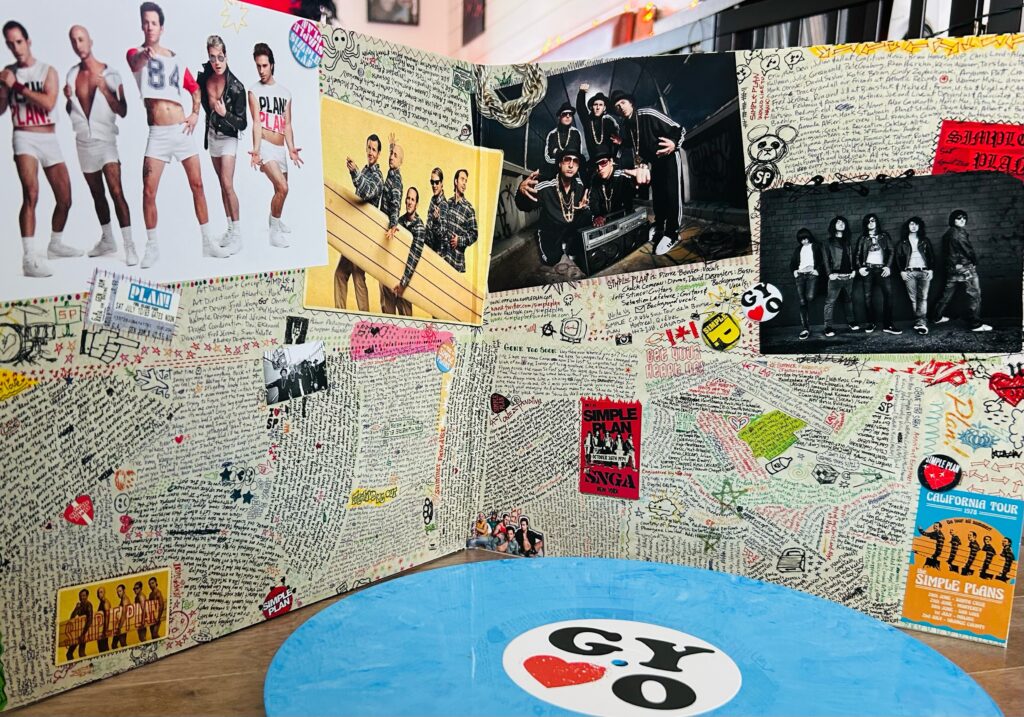 Simple Plan 25 years vinyl box set - Credit Alicia Deschênes