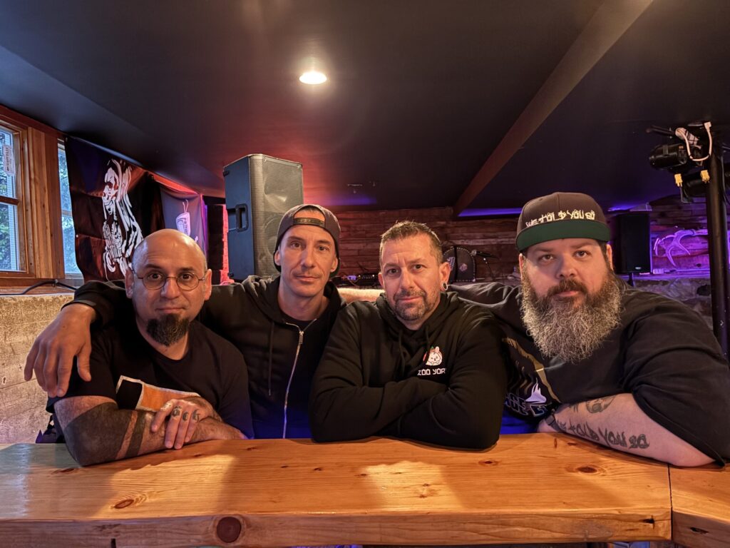 Picture of We told you so, punk rock band